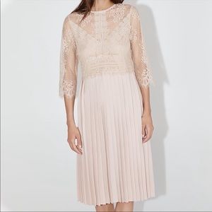 NWT Blush Zara MIDI Dress!